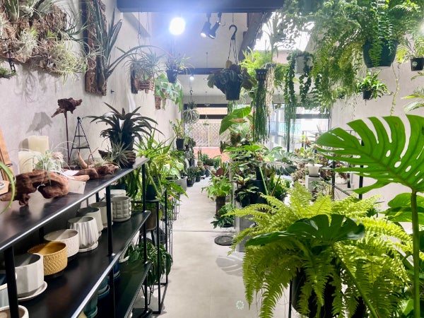 中崎町】観葉植物だらけの隠れ家カフェ「BROTO PLANT CAFE（ブロット