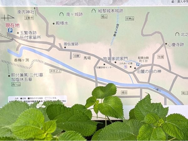 喜入旧麓MAP