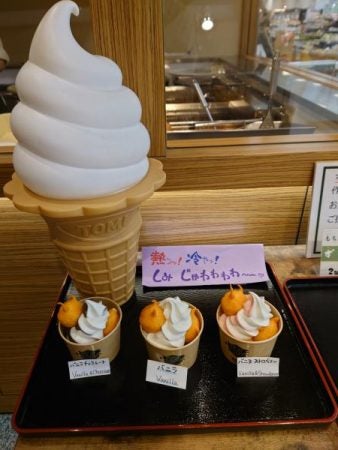 福島市】暑い日におすすめ「凍天 木乃幡」ぷち天ソフト | リビング