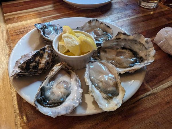 元住吉】『牡蠣とワインと魚と肉と。元住吉にて』牡蠣食べ放題がなんと