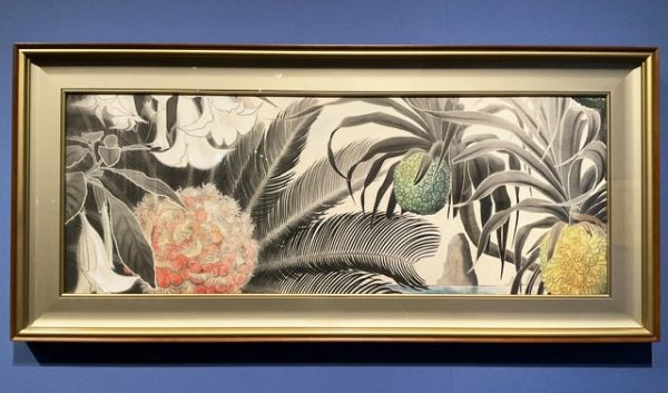 南の島の文化や自然を芸術に昇華「田中一村展 奄美の光 魂の絵画」へGO