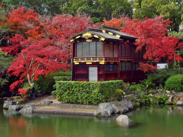 2024年秋】神戸・阪神間の紅葉スポット4選（有馬温泉・六甲山・県庁前