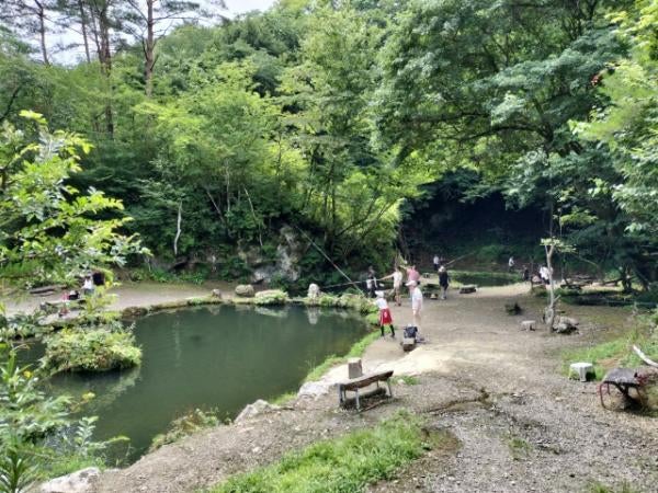 ▼希少 宮城県の渓流 釣り場 東京起点・日帰り1泊で楽しめる 東北の渓流 ③a ▽希少 宮城県の渓流 釣り場 東京起点・日帰り1泊で楽しめる 東北の