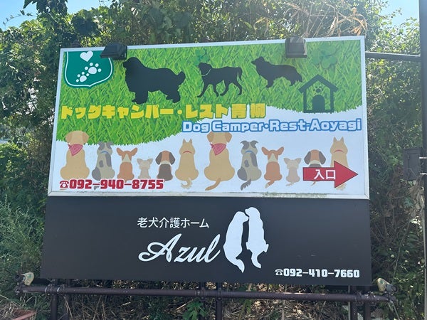 古賀市青柳】かわいい超大型犬がお迎えしてくれる癒しのドッグカフェ