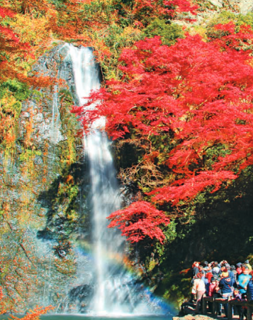 箕面】箕面公園の紅葉のシーズン！2024年11月9日（土）からは大滝や