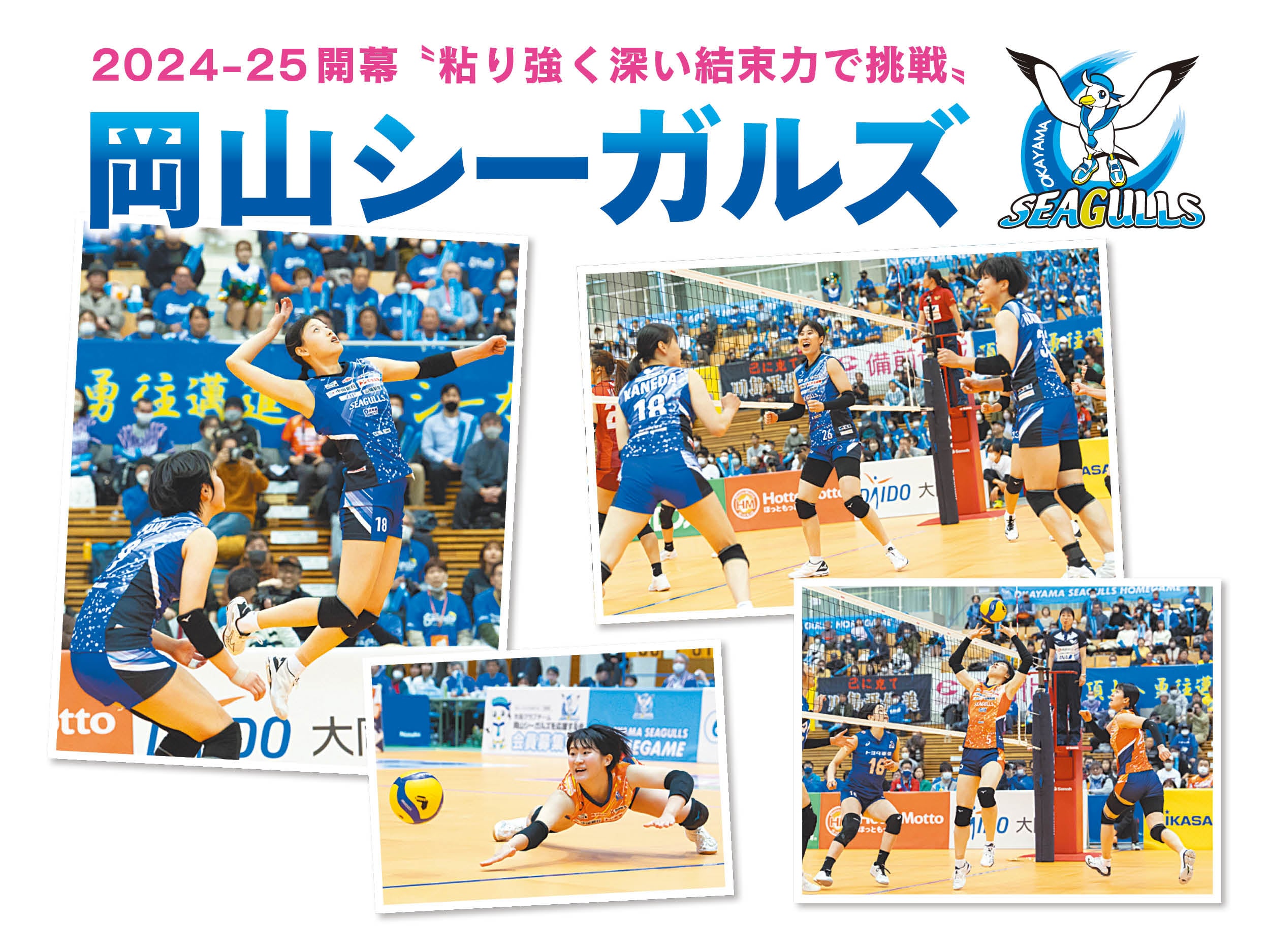 2024-25開幕〝粘り強く深い結束力で挑戦〟岡山シーガルズ｜特集