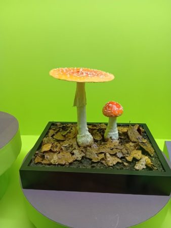 私が作ったキノコMan ネイチャーテクニカラー MONO+ キノコ ソフトマスコット2』9月発売予定