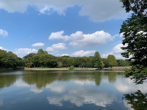 茨城県つくば市】研究学園都市の緑のオアシス「洞峰公園」 | リビング