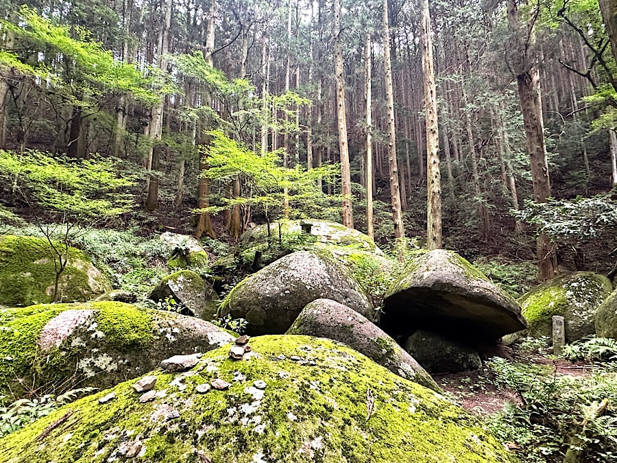 足利市】神秘的！「名草の巨石群」＆釣りが楽しい！「名草イワナパーク