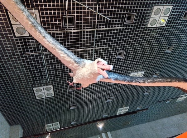 国立科学博物館の特別展「鳥」に行ってきました〜 | リビングふくしまWeb