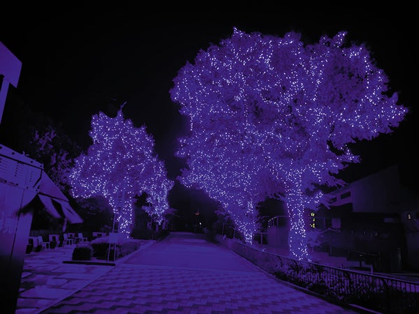 心ときめくキラキラ夜散歩♪2024-2025年愛媛イルミネーションスポット7