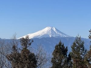 【八王子・高尾】1/21（火）「相模湖から小仏城山を経て高尾山頂へ真冬のハイキング」参加者募集