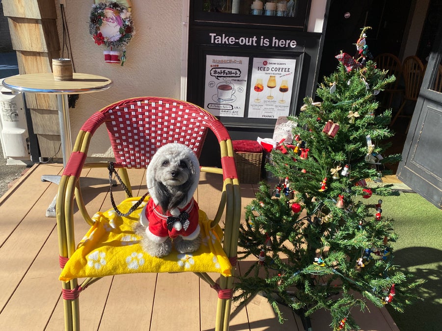 八王子】店内わんこOK！かわいいカフェ「CafeFRANK'S（カフェ