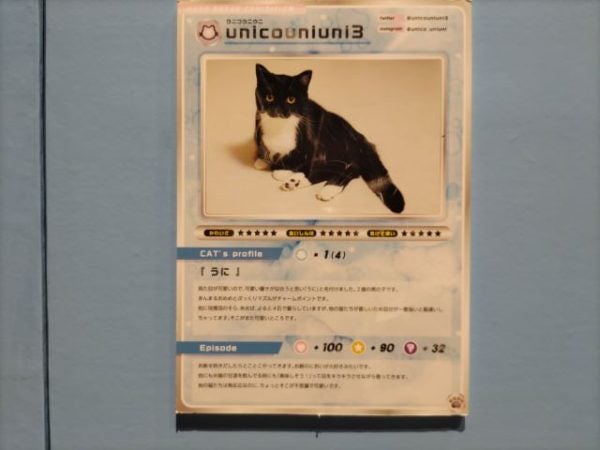 地行浜】「ねこ休み展」大人気ねこクリエイターが合同写真展＆物販店