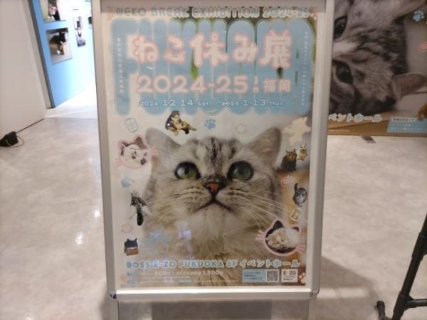 ねこばーぐページ 楽天市場】【オマケ付！】手帳 2026年 1月始まり 10月から使える MB6