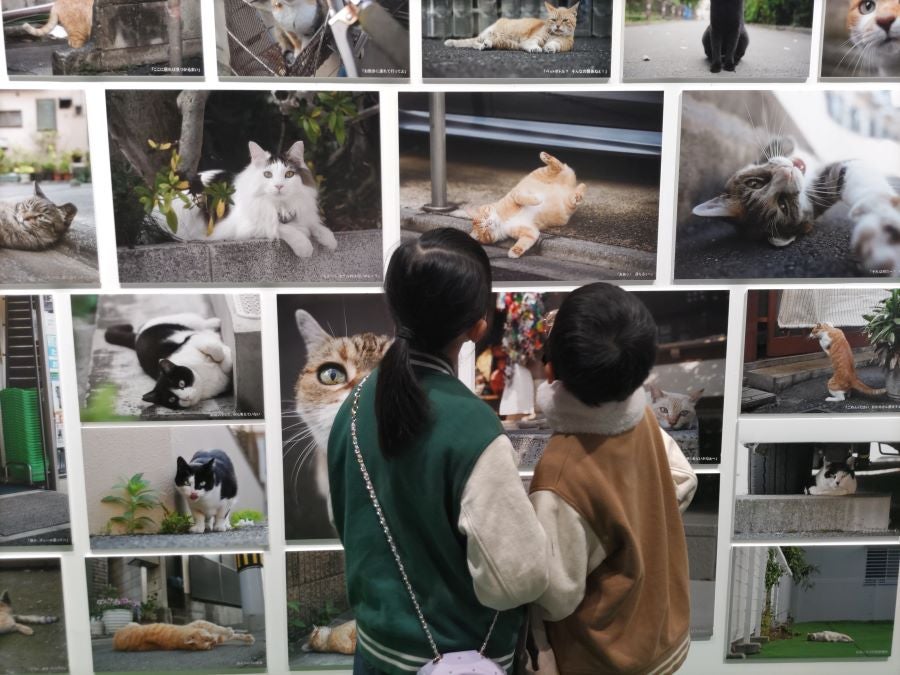 地行浜】「ねこ休み展」大人気ねこクリエイターが合同写真展＆物販店