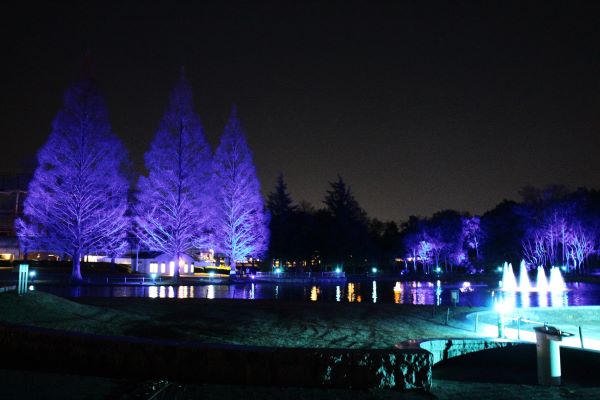 1)　夜のイルミネーション 美しいイルミネーション撮影に挑戦しよう！-斎藤巧一郎-｜フォトレシピ