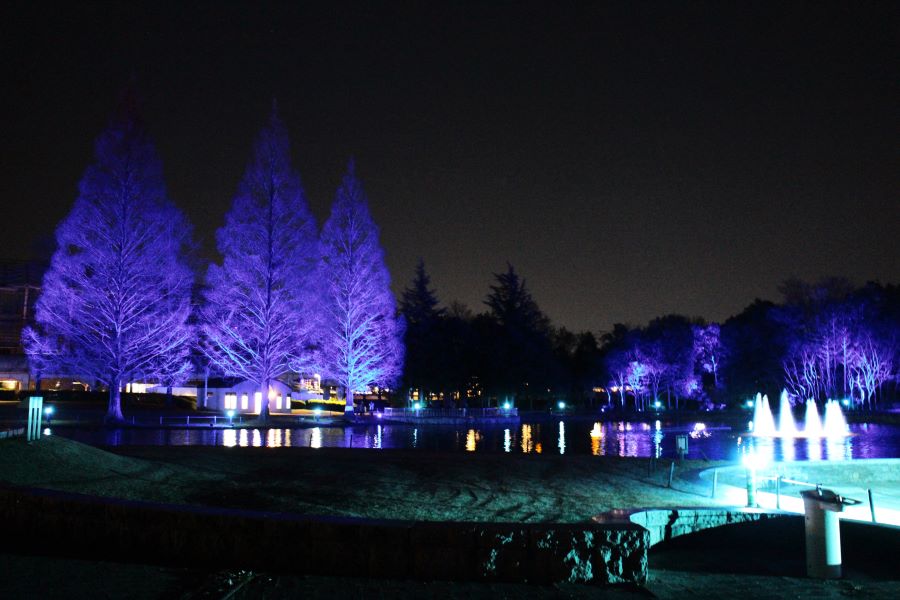 蒼い世界に癒やされる「七北田公園イルミネーション＆キャンドルナイト