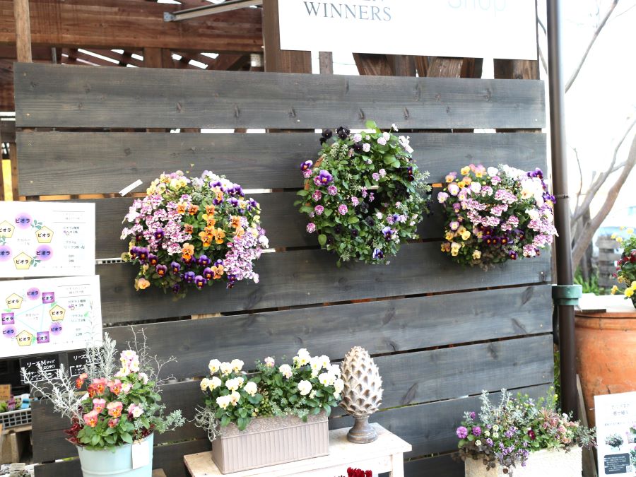 吉見町】ガーデニング好き必見！大人かわいい花苗を探すならここ♪園芸