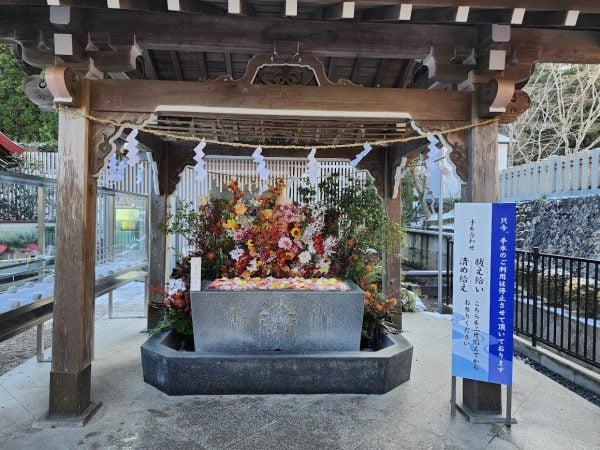 2025年は巳年【金蛇水神社】金運アップ！？白蛇メニューが頂けるカフェ