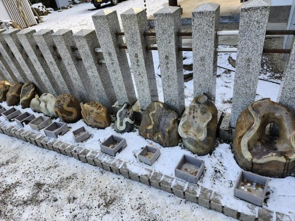 2025年は巳年【金蛇水神社】金運アップ！？白蛇メニューが頂けるカフェ