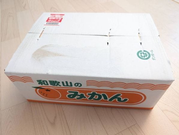 価格高騰中のみかんをお得にGET！長持ちする裏技を試したら気づいて