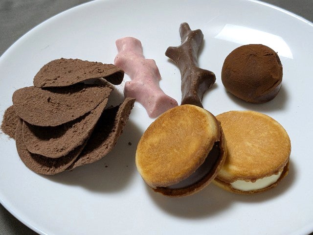 仙台駅に現れた「SNOWS」って？北海道発・東北初上陸の魅力に迫る