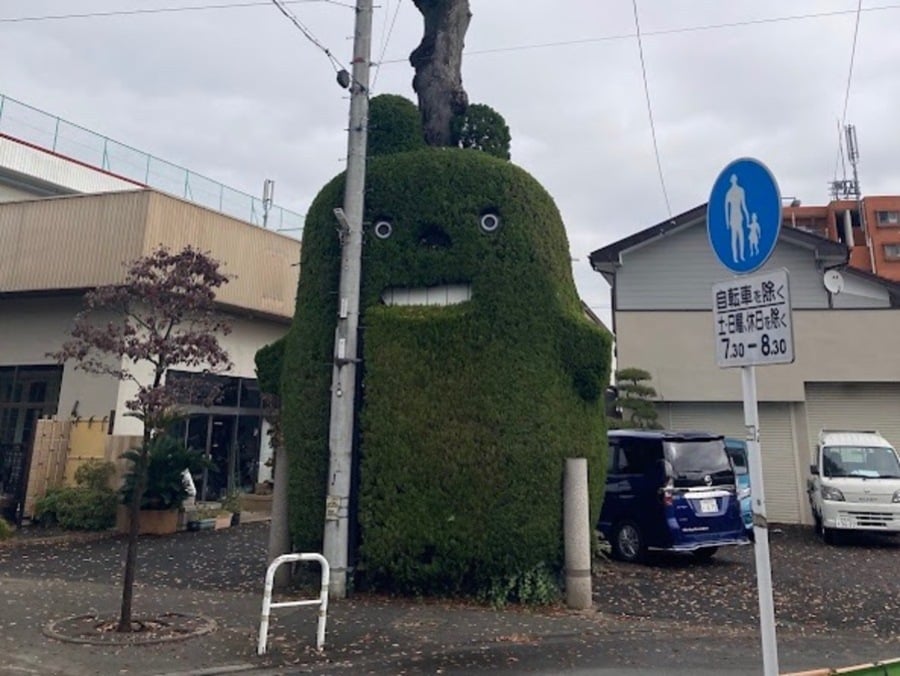 国分寺】住宅街に大きなトトロの木出現！？外構工事「すざき