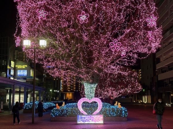 イルミネーションポインセチア 圧巻の60万球！！「イルミライ☆INZAI」＠千葉ニュータウン中央駅
