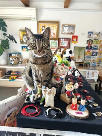 2月22日「猫の日」記念！福を招く福岡オリジナル招き猫の店3選