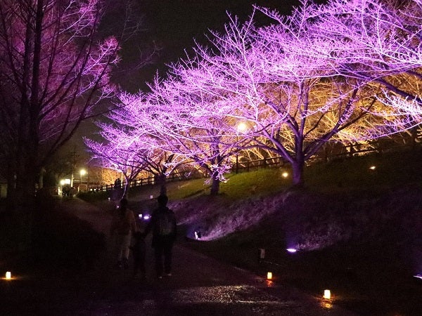 大阪・寝屋川】お花見2025 3月28日（金）～30日（日）打上川治水