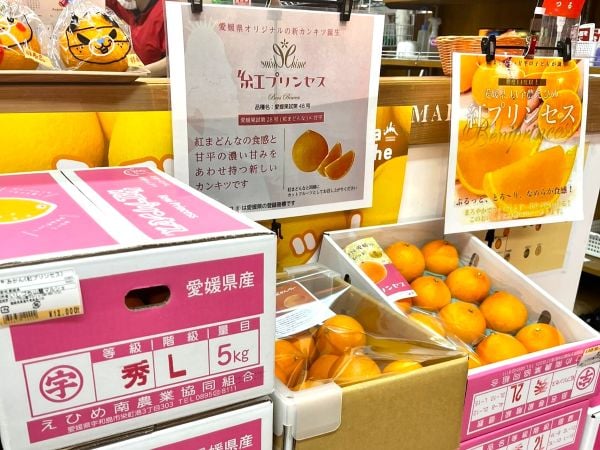 開催中】20種類の愛媛の柑橘や生絞りジュース！「シトラスサミット'25