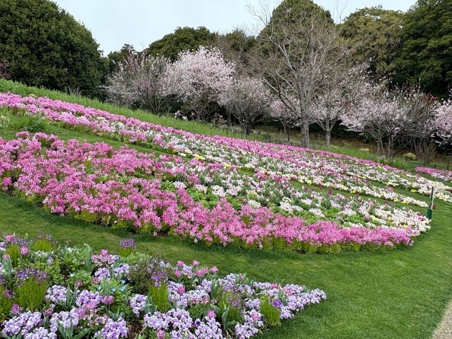やまの花まつり 花巻まつり2024 ⑦ #花巻まつり #山車 #花巻 #offical_iwate