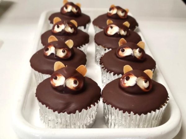 はやし屋で絶滅危惧種「たぬきケーキ」を捕獲！【北九州市八幡西区