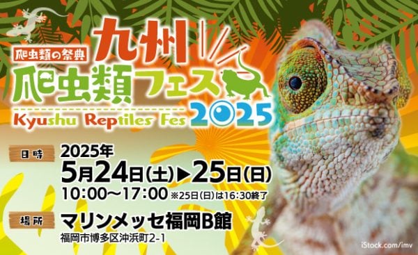 九州爬虫類フェス2025」招待券をペア4組にプレゼント | リビング