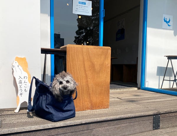 吉祥寺】店内わんこOK！のコーヒースタンド「LIGHT UP COFFEE 吉祥寺