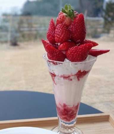 二本松市】過去最高に甘い『まるなカフェ』の完熟いちごパフェ