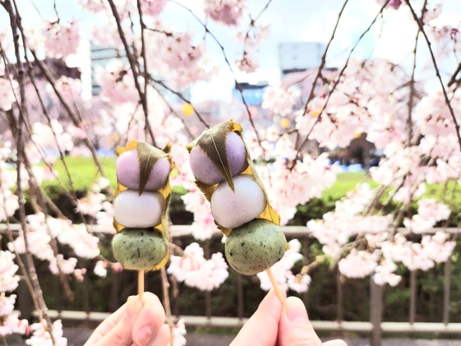 3種類のあんこがたまらない！ お花見のお供に期間限定の三色だんご
