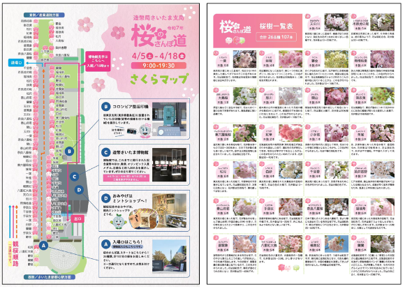 造幣局さいたま支局】4/18(金)まで！ 26品種107本の桜が楽しめる「桜の