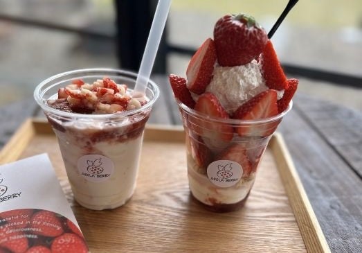 まだ間に合う！いちご好きにはたまらない農園でとれたての完熟いちご