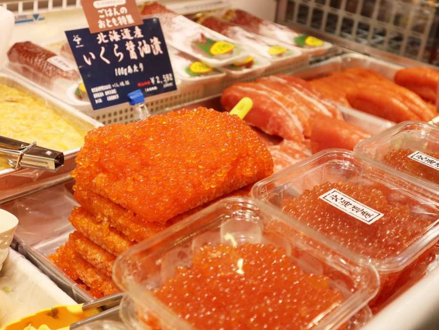 うづらの飼ひ方 大正6年 磯部甲陽堂発行 【公式通販】