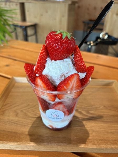 まだ間に合う！いちご好きにはたまらない農園でとれたての完熟いちご