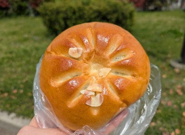 高槻】どのパンにする？日常に寄り添うやさしいパン屋さん「anpan