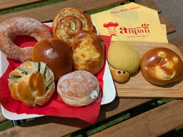 PXL_20250514_014116888.