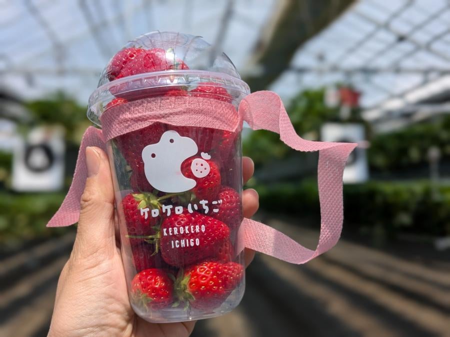 お持ち帰りも可！一年中いちご狩りが楽しめる「ケロケロの杜」で食べ