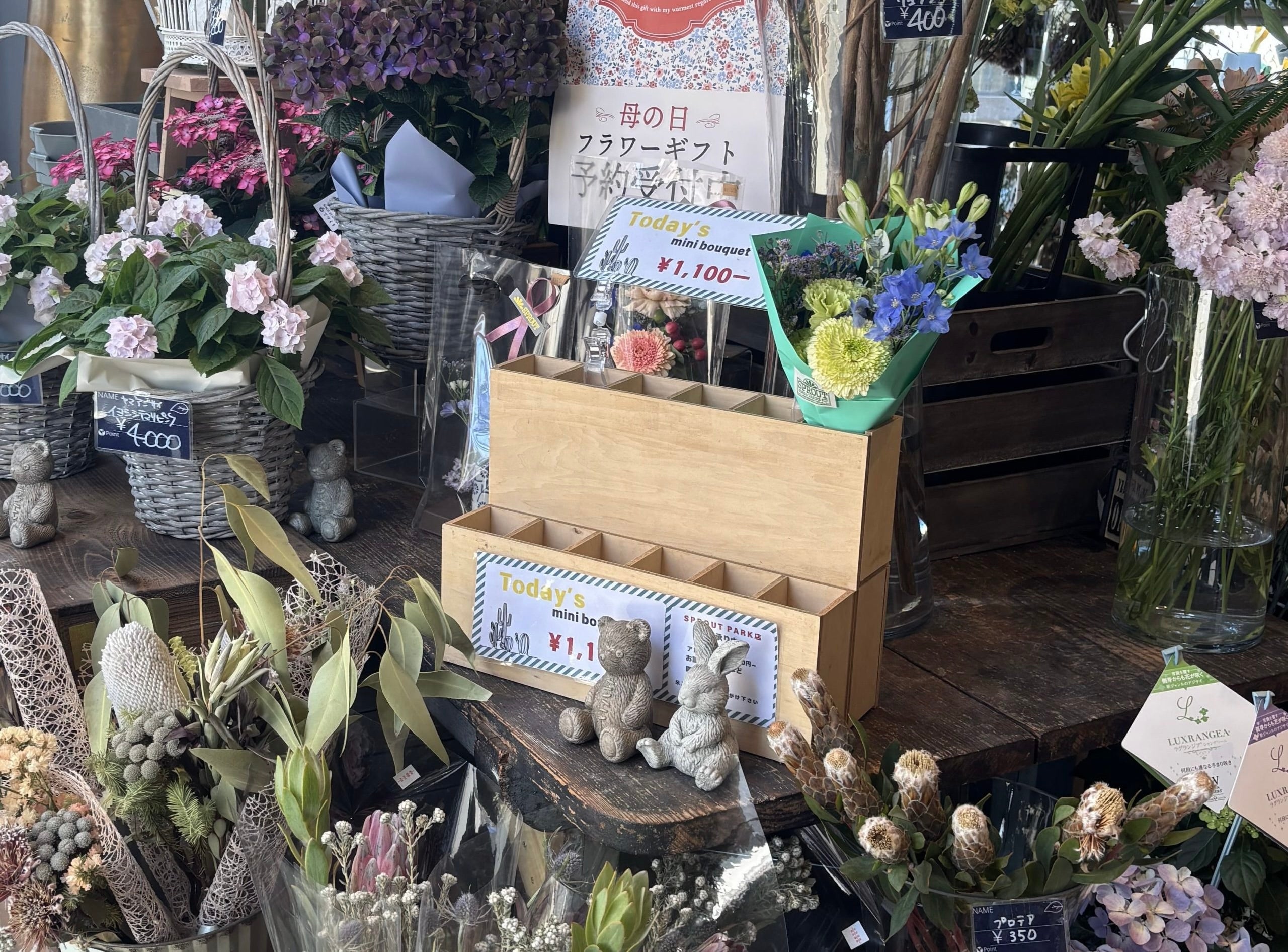 郡山市】開成山公園内のおしゃれなお花屋さん「SPROUT park」 | リビングふくしまWeb