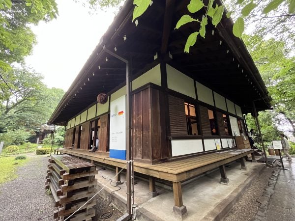 上野】こんな場所にカフェが！国立東京博物館裏で見つけた「TOHAKU茶館