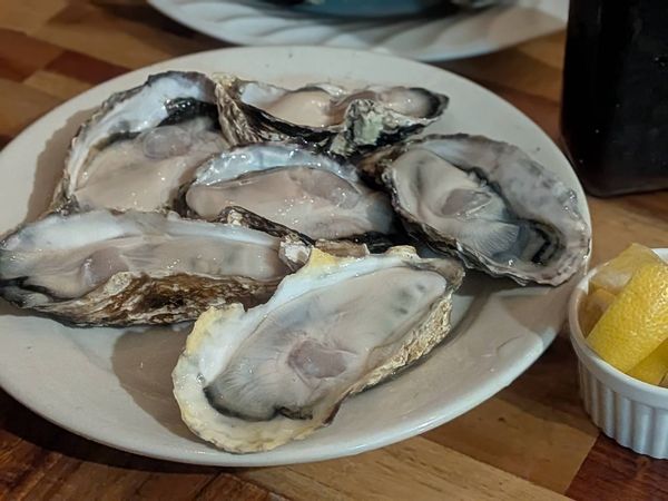 元住吉】牡蠣好きは元住に集合！1111円で60分牡蠣食べ放題「牡蠣