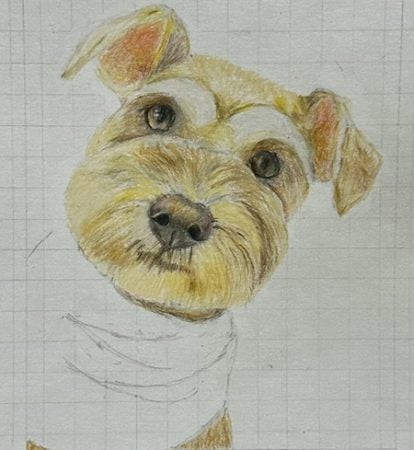 藤崎駅】優しい色合いに癒される 世界に1つだけの色鉛筆アート②色付け