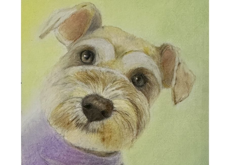 藤崎駅】優しい色合いに癒される 世界に1つだけの色鉛筆アート②色付け